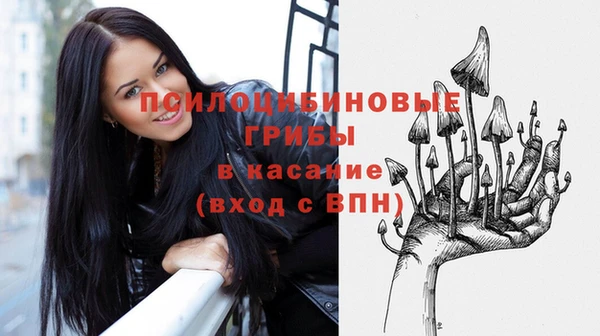 амф Нефтекумск