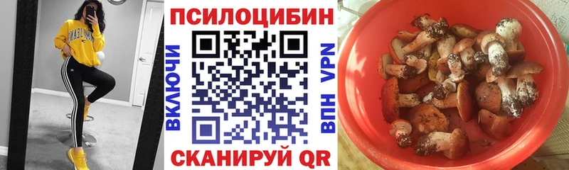 Псилоцибиновые грибы MAGIC MUSHROOMS  Советск 